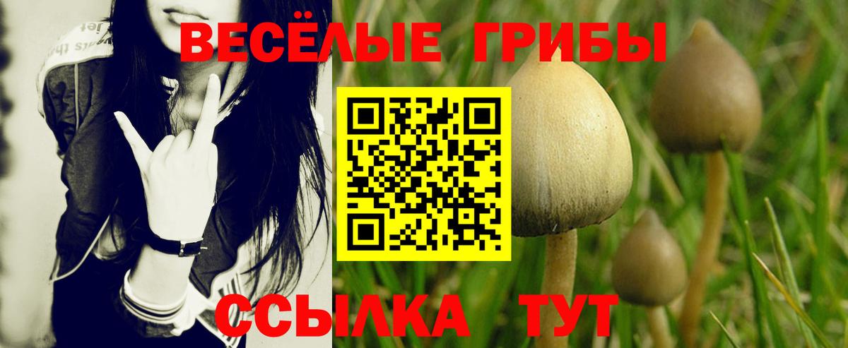 Псилоцибиновые грибы Psilocybe  купить закладку  Галлюциногенные грибы MAGIC MUSHROOMS  Сосновоборск  Вход с VPN 